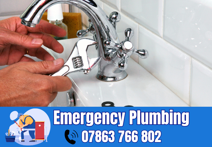  plumber Loushers Lane
